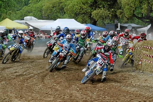 MX2 (FERNANDO CASTANHO)