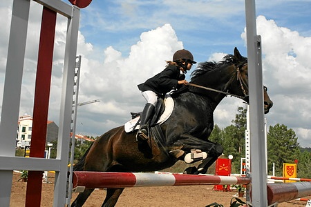 FESTIVAL HÍPÍCO DE SARDOAL 2008
