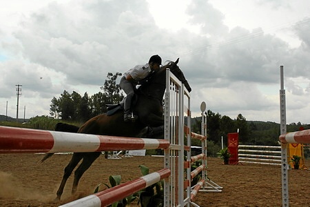 FESTIVAL HÍPÍCO DE SARDOAL 2008