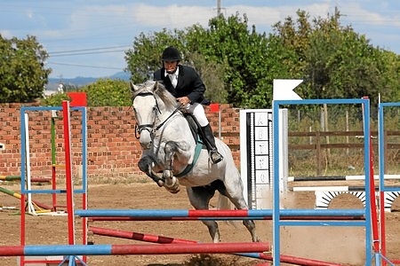 FESTIVAL HÍPÍCO J.F. SÃO MIGUEL DO RIO TORTO (QUINTA DO CABRITO )
