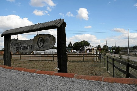 FESTIVAL HÍPÍCO J.F. SÃO MIGUEL DO RIO TORTO (QUINTA DO CABRITO )