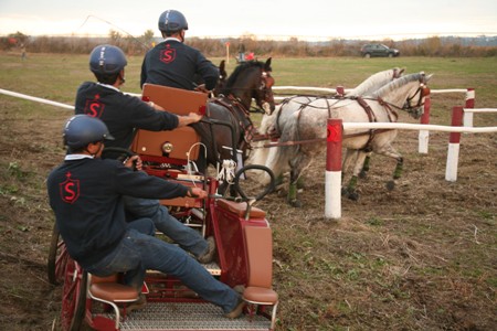 XXXIII – FEIRA NACIONAL DO CAVALO – GOLEGÃ 2008