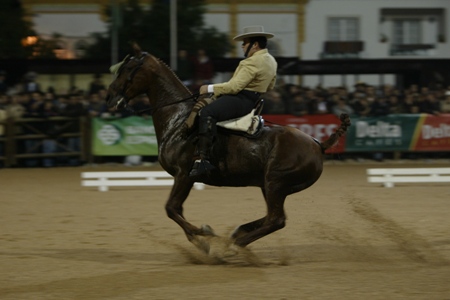 08/11/08 – SABADO  APRESENTAÇÃO DOMA VAQUERA DE ESPANHA  (FERNANDO CASTANHO)