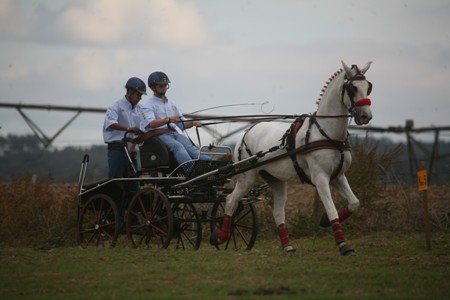 XXXIII – FEIRA NACIONAL DO CAVALO – GOLEGÃ 2008