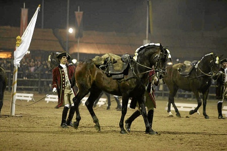 10/11/08 – SEGUNDA FEIRA  ESPECTACULO DA ESCOLA EQUESTRE PORTUGUESA  (COSME DURÃO)