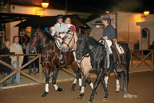 XXXIII – FEIRA NACIONAL DO CAVALO – GOLEGÃ 2008