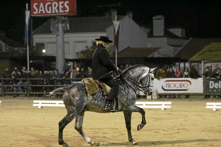 XXXIII – FEIRA NACIONAL DO CAVALO – GOLEGÃ 2008
