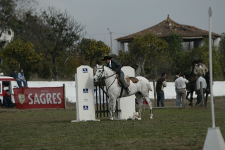 XXXIII – FEIRA NACIONAL DO CAVALO – GOLEGÃ 2008