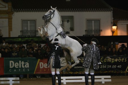 11/11/08 – TERÇA FEIRA ESPECTACULO DO CENTRO EQUESTRE DA LEZIRIA GRANDE  (FERNANDO CASTANHO)