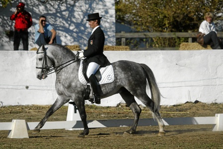 XXXIII – FEIRA NACIONAL DO CAVALO – GOLEGÃ 2008
