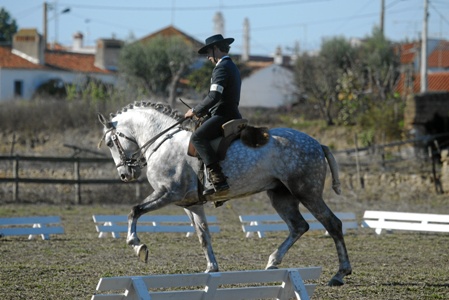 XXXIII – FEIRA NACIONAL DO CAVALO – GOLEGÃ 2008