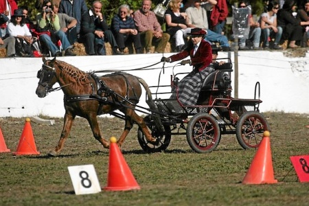 XXXIII – FEIRA NACIONAL DO CAVALO – GOLEGÃ 2008