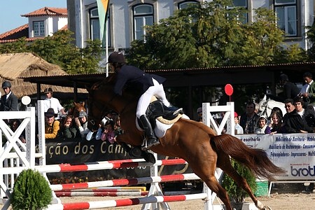 XXXIII – FEIRA NACIONAL DO CAVALO – GOLEGÃ 2008