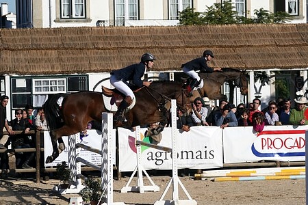 XXXIII – FEIRA NACIONAL DO CAVALO – GOLEGÃ 2008