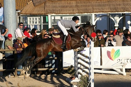 XXXIII – FEIRA NACIONAL DO CAVALO – GOLEGÃ 2008