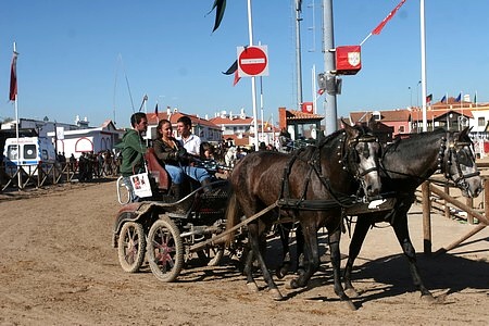XXXIII – FEIRA NACIONAL DO CAVALO – GOLEGÃ 2008