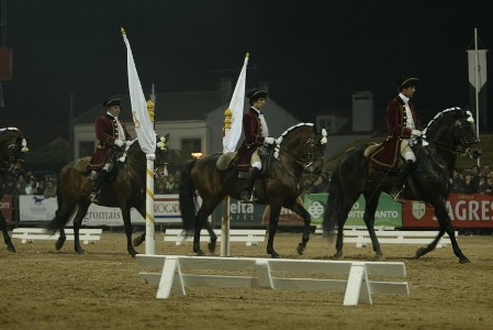 10/11/08 – SEGUNDA FEIRA  ESPECTACULO ESCOLA PORTUGUESA DE ARTE EQUESTRE(FERNANDO CASTANHO)
