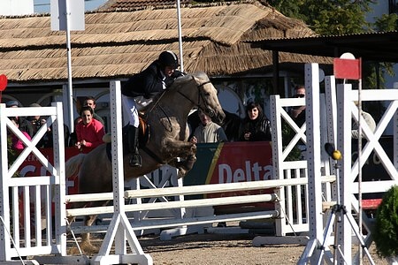 XXXIII – FEIRA NACIONAL DO CAVALO – GOLEGÃ 2008