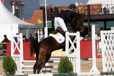 XXXIII – FEIRA NACIONAL DO CAVALO – GOLEGÃ 2008