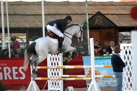 XXXIII – FEIRA NACIONAL DO CAVALO – GOLEGÃ 2008