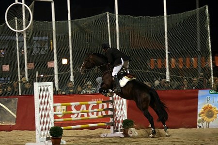 XXXIII – FEIRA NACIONAL DO CAVALO – GOLEGÃ 2008