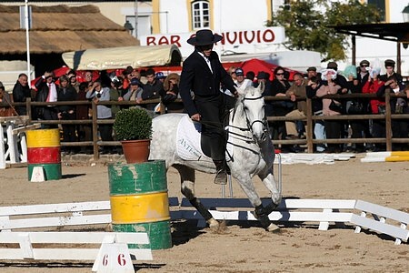 XXXIII – FEIRA NACIONAL DO CAVALO – GOLEGÃ 2008