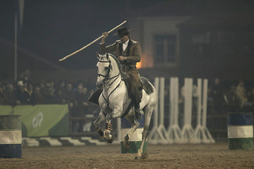 XXXIII – FEIRA NACIONAL DO CAVALO – GOLEGÃ 2008