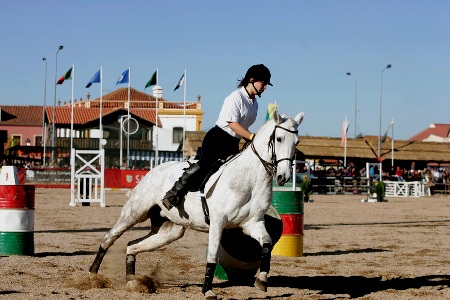 XXXIII – FEIRA NACIONAL DO CAVALO – GOLEGÃ 2008