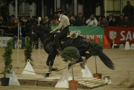 XXXIII – FEIRA NACIONAL DO CAVALO – GOLEGÃ 2008