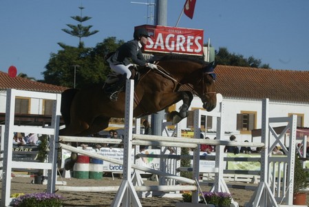 XXXIII – FEIRA NACIONAL DO CAVALO – GOLEGÃ 2008