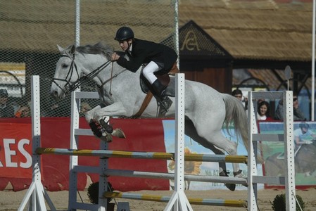 XXXIII – FEIRA NACIONAL DO CAVALO – GOLEGÃ 2008