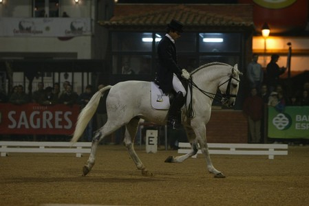 XXXIII – FEIRA NACIONAL DO CAVALO – GOLEGÃ 2008
