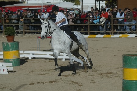 XXXIII – FEIRA NACIONAL DO CAVALO – GOLEGÃ 2008