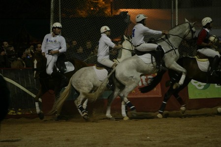 XXXIII – FEIRA NACIONAL DO CAVALO – GOLEGÃ 2008