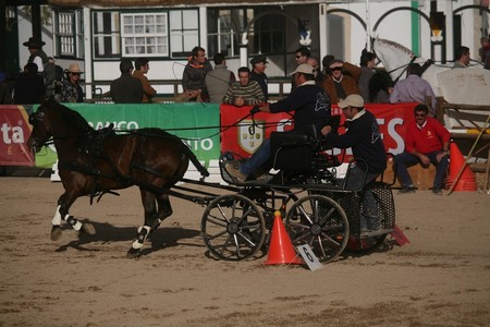 XXXIII – FEIRA NACIONAL DO CAVALO – GOLEGÃ 2008