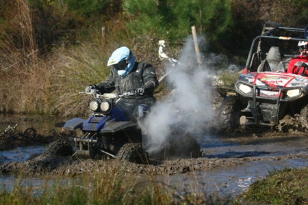 QUADS(FERNANDO CASTANHO)