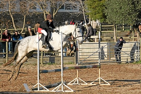 HIPISMO – EXAME PARA CELA 4 – QUINTA DE SANTA BARBARA