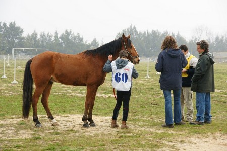 RAID HIPICO BARROCA DE ALVA 2009