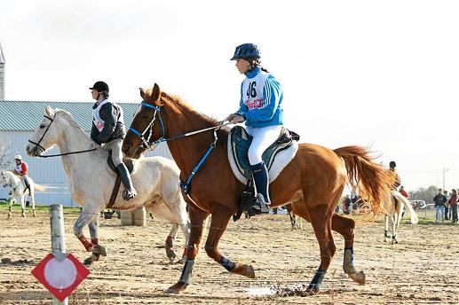 RAID HÍPÍCO DE ST EULALIA – LUÍS TELLO BARRADAS – X ED – 2009
