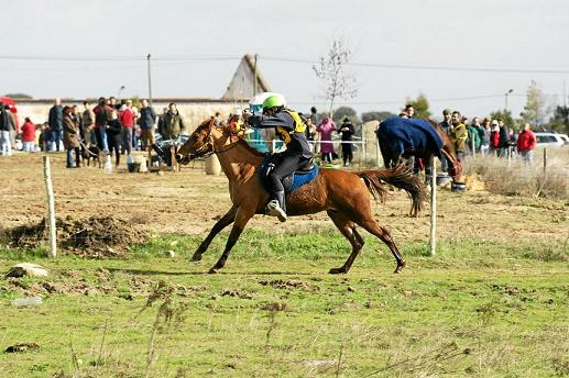 60 KM(FERNANDO BATISTA)