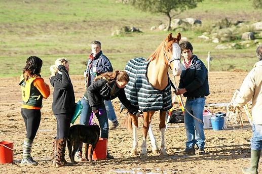 RAID HÍPÍCO DE ST EULALIA – LUÍS TELLO BARRADAS – X ED – 2009