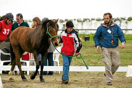 RAID HIPICO – MONTE DAS FLORES 2009