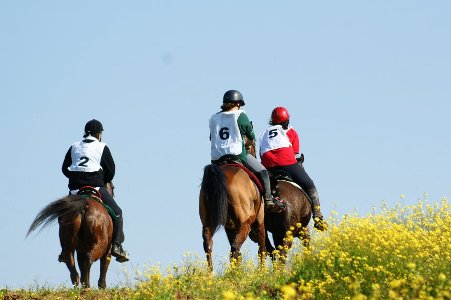 RAID HIPICO SOUSEL – HERDADE DA MADALENA 2009