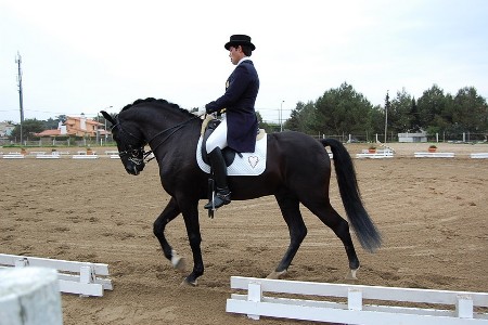 EQUITAÇÃO – CDN – CENTRO HIPICO COSTA DO ESTORIL – MARÇO 2009