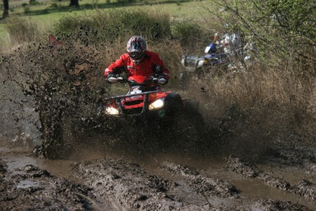 QUADS  (PAULO PAULINO)
