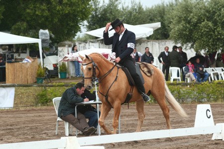 EQUITAÇÃO TRABALHO – CAMP . NAC . 2009 – MONTE DAS FLORES -EVORA