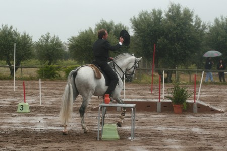 EQUITAÇÃO TRABALHO – CAMP . NAC . 2009 – MONTE DAS FLORES -EVORA