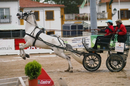 EXPOEGUA 2009 – GOLEGÃ