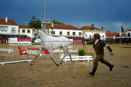 EXPOEGUA 2009 – GOLEGÃ