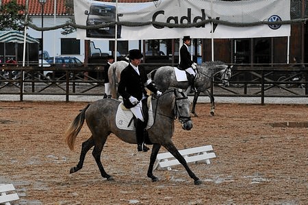 EXPOEGUA 2009 – GOLEGÃ